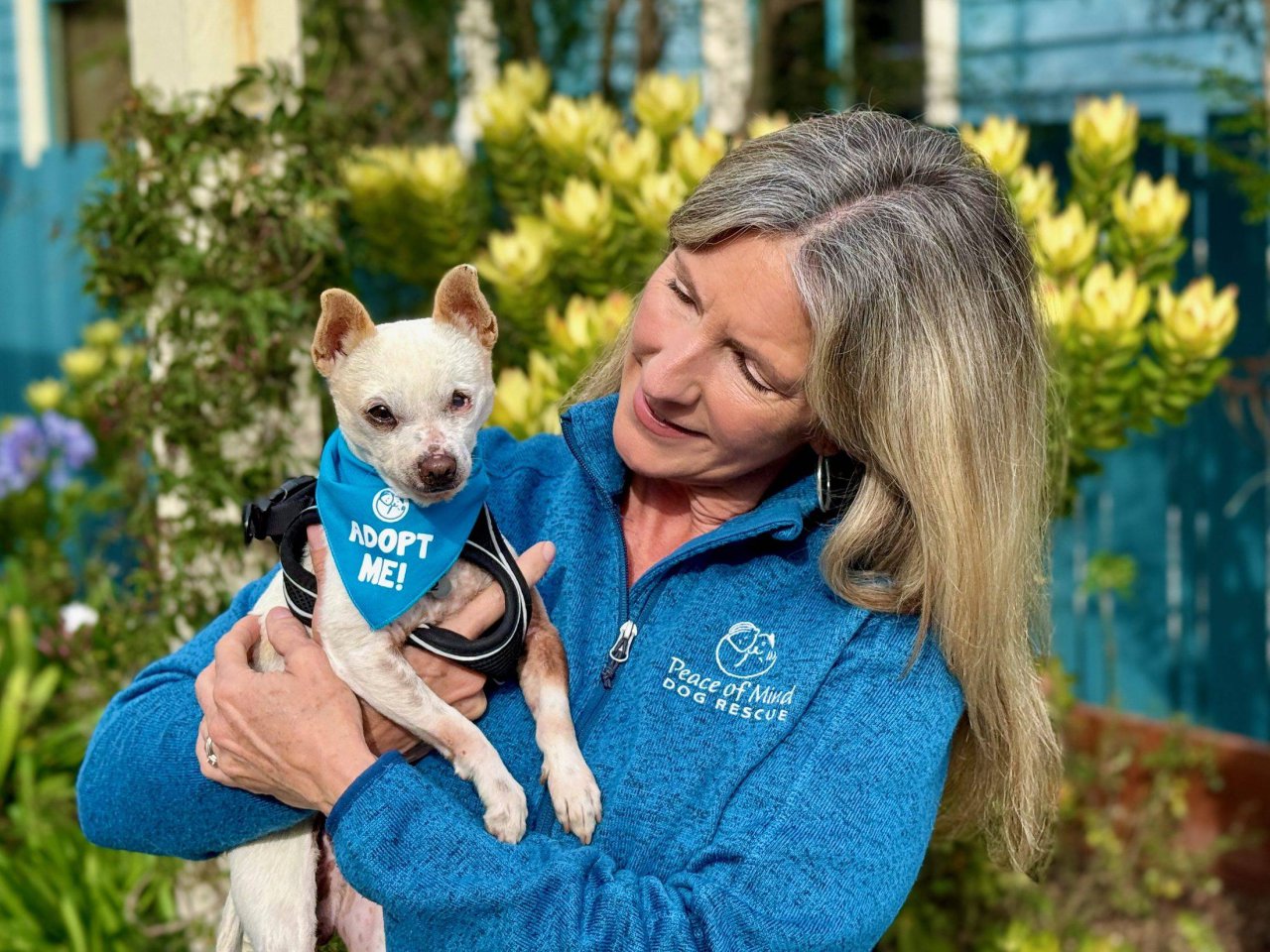 A woman in a Peace of Mind Dog Rescue fleece hugging a small senior dog outdoors.